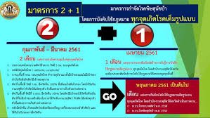 มาตราการกำจัดโรคพิษสุนัขบ้า   2+1