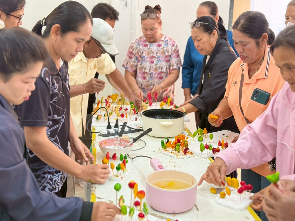 โครงการพัฒนาคุณภาพชีวิตผู้สูงอายุ (ครั้งที่ ๓)